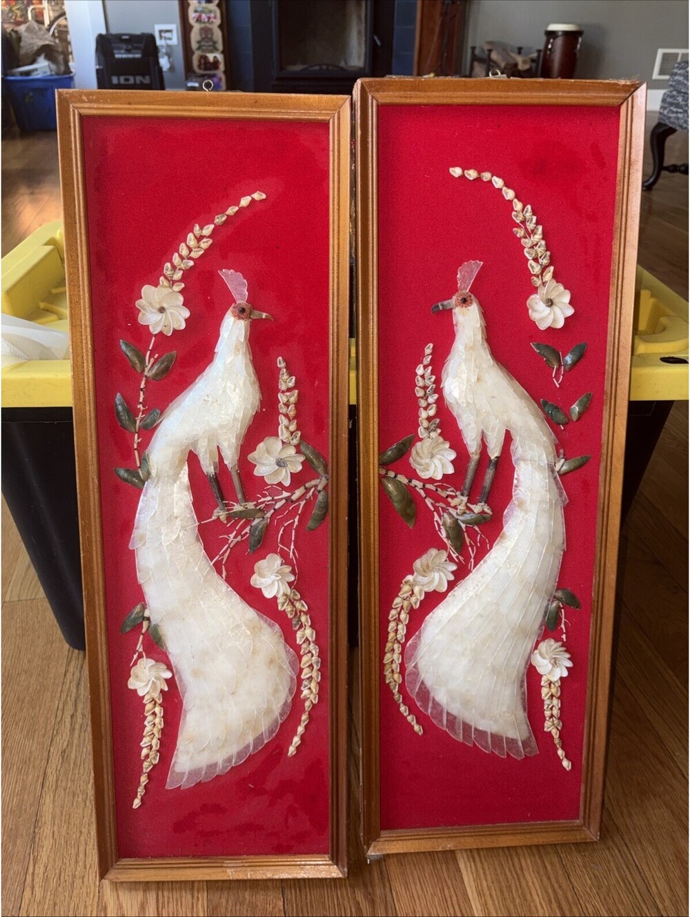 Pair Vintage MCM 3D Seashell Peacock Wall Art Red Velvet Framed Set